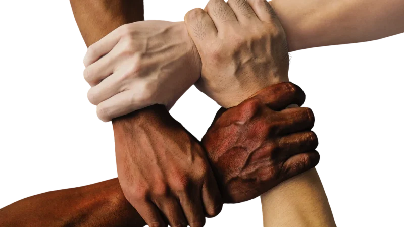 Rola sociálnych štruktúr v usmernení sociálnej súdržnosti a integration
